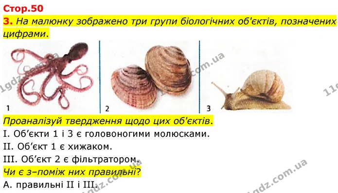 3. На малюнку зображено три групи біологічних об'єктів, позначених цифрами. — ГДЗ робочий зошит Біологія 7 клас Тагліна
