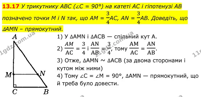 13.17 У трикутнику ABC (∠C = 90°) на катеті AC і гіпотенузі AB — ГДЗ Геометрія 8 клас Істер