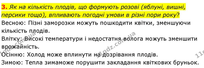 3. Як на кількість плодів, що формують розові (яблуні, вишні, персики тощо), впливають погодні умови в різні пори року? — ГДЗ Біологія 7 клас Балан