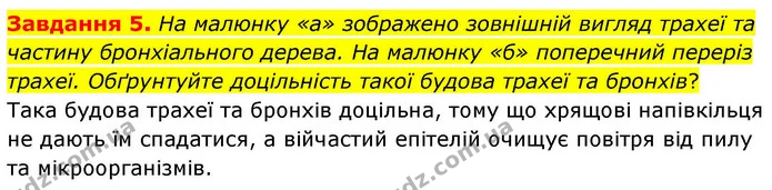 Стор. 86 — 5 — ГДЗ Робочий зошит біологія 8 клас Мирна — ГДЗ Робочий зошит біологія 8 клас Мирна