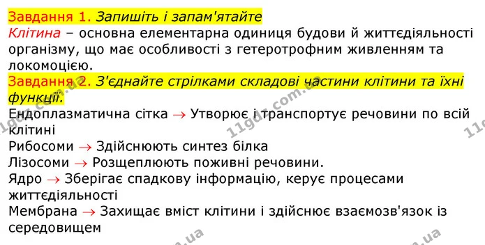 Стор. 5 — 1-2 (2) — ГДЗ Робочий зошит з Біології 7 клас Яременко — ГДЗ Робочий зошит з Біології 7 клас Яременко