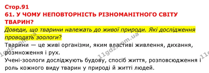 Доведи, що тварини належать до живої природи. Які дослідження проводять зоологи? — ГДЗ Я досліджую світ 3 клас Грущинська (1 частина)