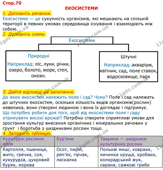 Уявна порожниста куля, на поверхню якої зсередини нанесено всі зорі; модель неба – це..  (П) небесна сфера  Точка небесної сфери — ГДЗ Робочий зошит Природознавство 5 клас Мечник