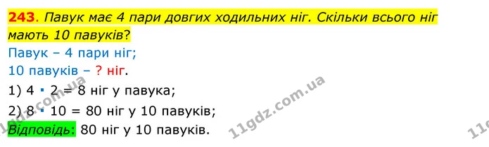 243. Павук має 4 пари довгих ходильних ніг. Скільки всього ніг мають 10 павуків? — ГДЗ Математика 3 клас Бевз 1 частина