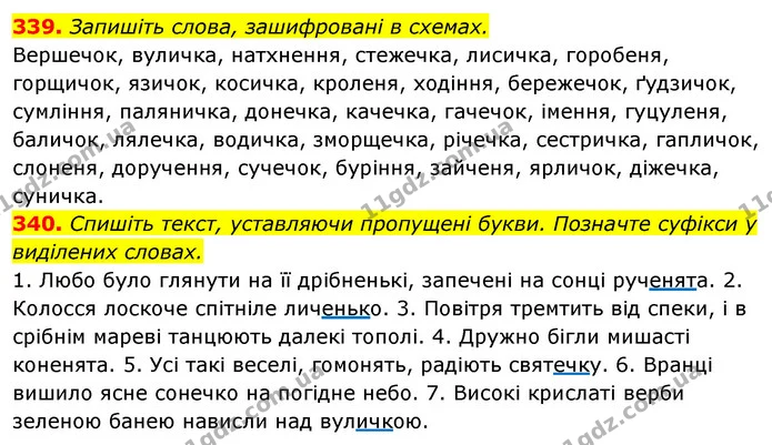 339. Запишіть слова, зашифровані в схемах. — ГДЗ Відповіді Українська мова 6 клас Єрмоленко