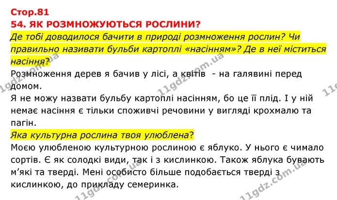 Де тобі доводилося бачити в природі розмноження рослин? Чи правильно називати бульби картоплі «насінням»? Де в неї міститься насіння? — ГДЗ Я досліджую світ 3 клас Грущинська (1 частина)