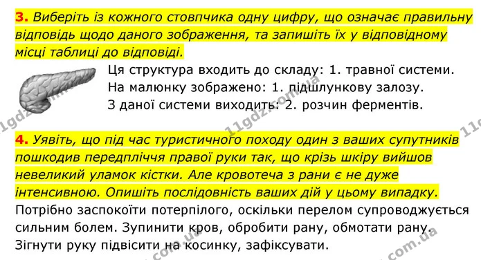 3. Виберіть із кожного стовпчика одну цифру, що означає правильну відповідь щодо даного зображення, та запишіть їх у відповідному місці — ГДЗ Робочий зошит Біологія 8 клас Задорожний