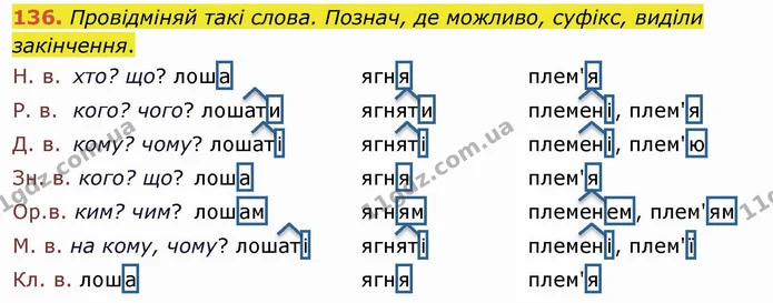 136. Провідміняй такі слова. Познач, де можливо, суфікс, виділи закінчення. — ГДЗ Українська мова та читання 4 клас Коваленко