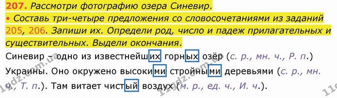 207. Рассмотри фотографию озера Синевир. — ГДЗ Русский язык и чтение 4 класс Лапшина 1 ч.