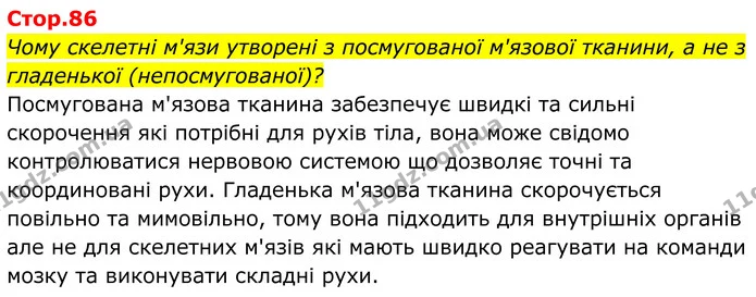Чому скелетні м'язи утворені з посмугованої м'язової тканини, а не з гладенької (непосмугованої)? — ГДЗ Біологія 8 клас Балан