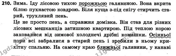 210 — ГДЗ Українська мова та читання 4 клас Захарійчук 2015
