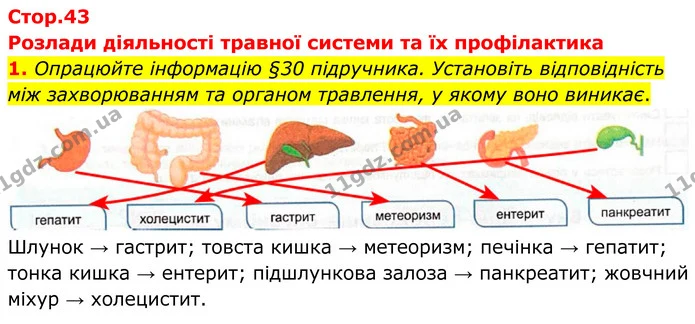 1. Опрацюйте інформацію §30 підручника. Установіть відповідність між захворюванням та органом травлення, у якому воно виникає. — ГДЗ Робочий зошит Біологія 8 клас Кулініч