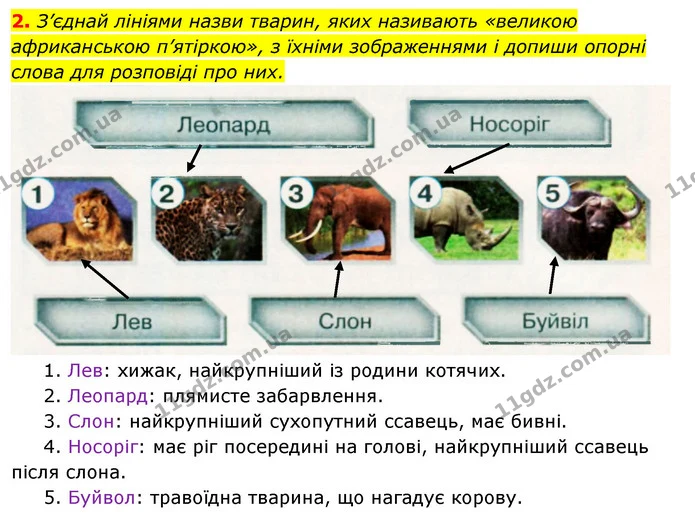 2. З’єднай лініями назви тварин, яких називають «великою африканською п’ятіркою», з їхніми зображеннями і допиши опорні слова для — ГДЗ Робочий зошит Я досліджую світ 4 клас Грущинська