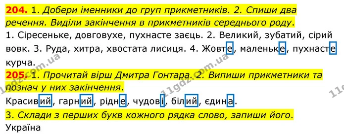 204. 1. Добери іменники до груп прикметників. 2. Спиши два речення. Виділи закінчення в прикметників середнього роду. — ГДЗ Українська мова та читання 3 клас Кравцова (1 частина)