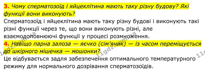 Стор. 217 — 2 — ГДЗ Біологія 8 клас Тагліна — ГДЗ Біологія 8 клас Тагліна