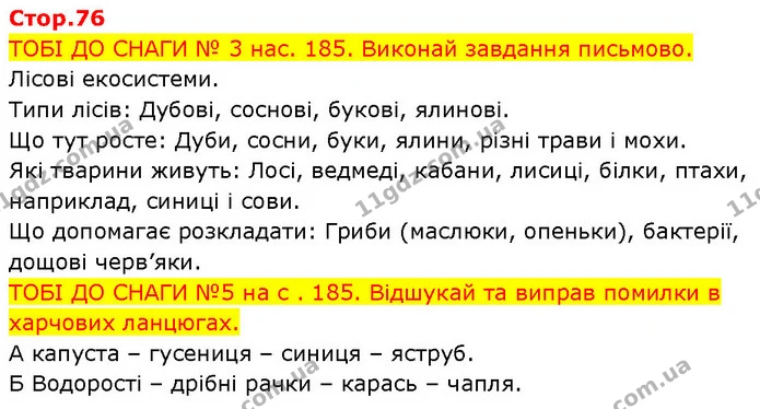 ТОБІ ДО СНАГИ № 3 нас. 185. Виконай завдання письмово. — ГДЗ Робочий зошит Пізнаємо природу 6 клас Коршевнюк