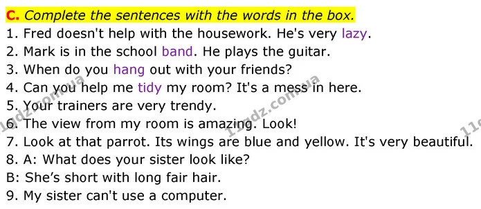 C. Complete the sentences with the words in the box. — ГДЗ Збірник тестів Англійська мова 5 клас Мітчелл (Test Booklet)