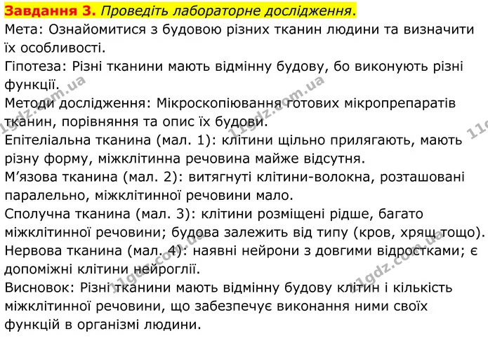 Стор. 13 — 3 — ГДЗ Робочий зошит біологія 8 клас Мирна — ГДЗ Робочий зошит біологія 8 клас Мирна