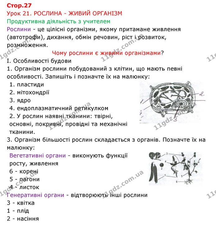 Стор. 27 — 1 — ГДЗ Робочий зошит Біологія 6 клас Соболь — ГДЗ Робочий зошит Біологія 6 клас Соболь