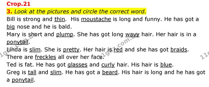 3. Look at the pictures and circle the correct word. — ГДЗ Робочий зошит Англійська мова 6 клас Карпюк