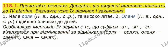 118. І. Прочитайте речення. Доведіть, що виділені іменники належать до IV відміни. Визначте усно їх відмінок і закінчення. — ГДЗ Українська мова 6 клас Заболотний 2019