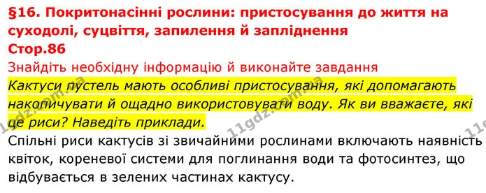 Кактуси пустель мають особливі пристосування, які допомагають накопичувати й ощадно використовувати воду. Як ви вважаєте, які це риси? — ГДЗ Біологія 7 клас Тагліна