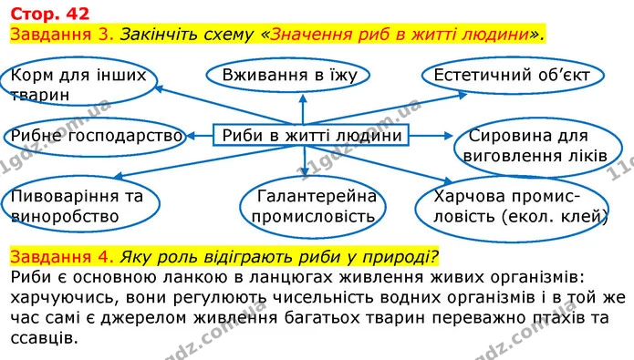 Стор. 42 — 3-4 — ГДЗ Робочий зошит з Біології 7 клас Яременко — ГДЗ Робочий зошит з Біології 7 клас Яременко