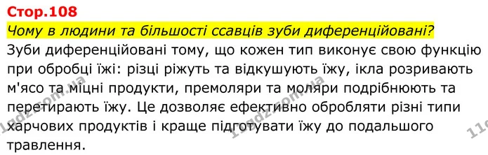 Чому в людини та більшості ссавців зуби диференційовані? — ГДЗ Біологія 8 клас Балан