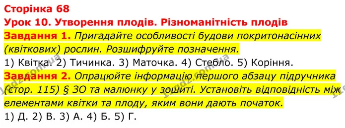 1. Пригадайте особливості будови покритонасінних (квіткових) рослин. Розшифруйте позначення. — ГДЗ Робочий зошит Біологія 7 клас Мирна 2024