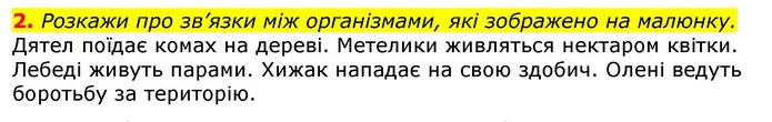 2. Розкажи про зв’язки між організмами, які зображено на малюнку. — ГДЗ Природознавство 5 клас Коршевнюк
