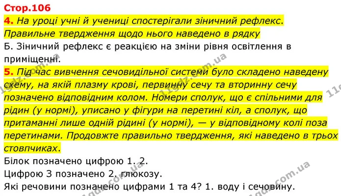 4. На уроці учні й учениці спостерігали зіничний рефлекс. — ГДЗ робочий зошит Біологія 8 клас Андерсон