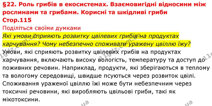 Які умови сприяють розвитку цвілевих грибів на продуктах харчування? Чому небезпечно споживати уражену цвіллю їжу? — ГДЗ Біологія 7 клас Тагліна