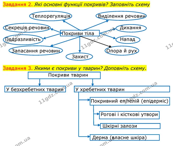Стор. 72 — 2-3 (2) — ГДЗ Робочий зошит з Біології 7 клас Яременко — ГДЗ Робочий зошит з Біології 7 клас Яременко