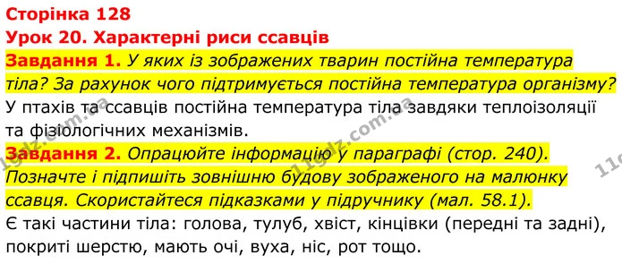 1. У яких із зображених тварин постійна температура тіла? За рахунок чого підтримується постійна температура організму? — ГДЗ Робочий зошит Біологія 7 клас Мирна 2024