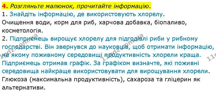 4. Розгляньте малюнок, прочитайте інформацію. — ГДЗ робочий зошит Біологія 7 клас Кулініч