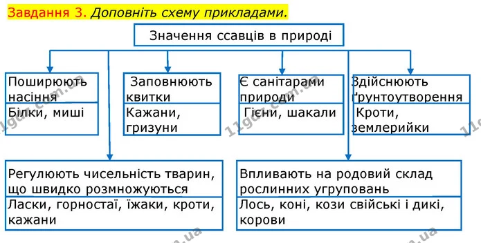 Стор. 57 — 3 — ГДЗ Робочий зошит з Біології 7 клас Яременко — ГДЗ Робочий зошит з Біології 7 клас Яременко