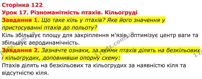 1. Що таке кіль у птахів? Яке його значення у пристосуванні птахів до польоту? — ГДЗ Робочий зошит Біологія 7 клас Мирна 2024
