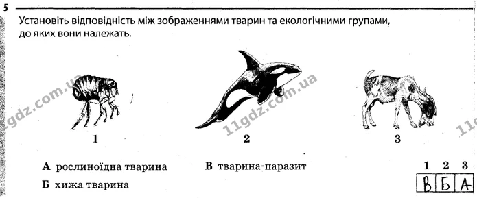 Стор. 58 — 5 — ГДЗ Робочий зошит Біологія 7 клас Задорожний — ГДЗ Робочий зошит Біологія 7 клас Задорожний