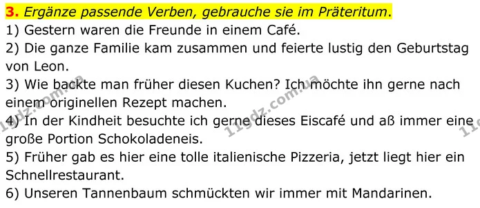 3. Ergänze passende Verben, gebrauche sie im Präteritum. — ГДЗ Німецька мова 8 клас Сотникова (2025) 4 рік