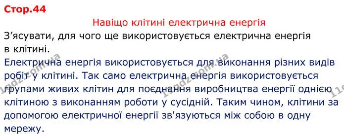 Стор.44 — ГДЗ Зошит лабораторні Фізика 8 клас Божинова