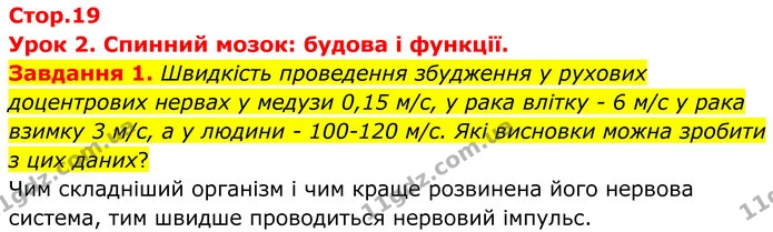 Стор. 19 — 1 — ГДЗ Робочий зошит біологія 8 клас Мирна — ГДЗ Робочий зошит біологія 8 клас Мирна