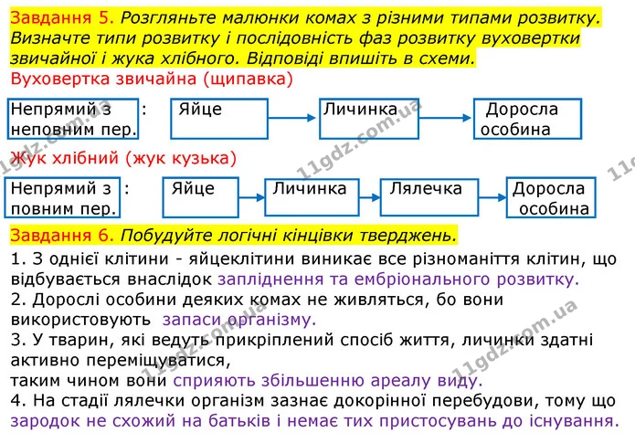 Стор. 80 — 5-6 — ГДЗ Робочий зошит з Біології 7 клас Яременко — ГДЗ Робочий зошит з Біології 7 клас Яременко