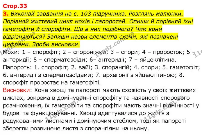 3. Виконай завдання на с. 103 підручника. Розглянь малюнки. Порівняй життєвий цикл мохів і папоротей. Опиши й порівняй їхні гаметофіти — ГДЗ робочий зошит Біологія 7 клас Тагліна