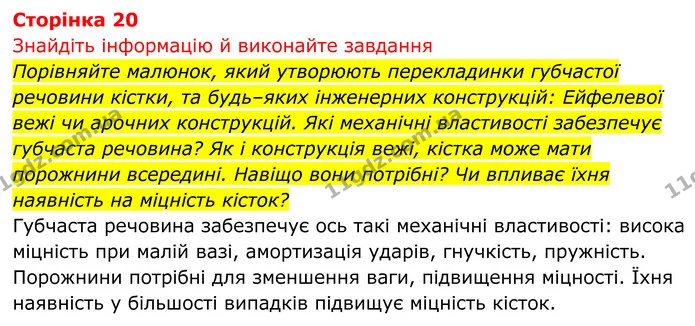 Стор. 20 — 1 — ГДЗ Біологія 8 клас Тагліна — ГДЗ Біологія 8 клас Тагліна
