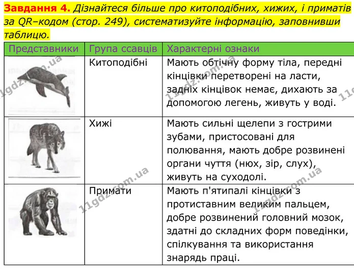 4. Дізнайтеся більше про китоподібних, хижих, і приматів за QR–кодом (стор. 249), систематизуйте інформацію, заповнивши таблицю. — ГДЗ Робочий зошит Біологія 7 клас Мирна 2024
