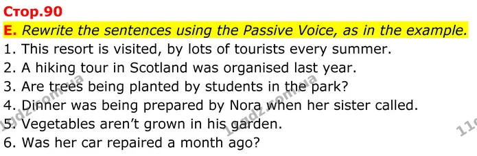 E. Rewrite the sentences using the Passive Voice, as in the example. — ГДЗ граматика Англійська мова 7 клас Мітчелл