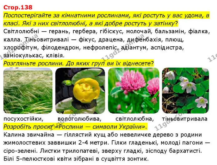 Поспостерігайте за кімнатними рослинами, які ростуть у вас удома, в класі. Які з них світлолюбні, а які добре ростуть у затінку? — ГДЗ Я досліджую світ 3 клас Гільберг 1-2 ч.