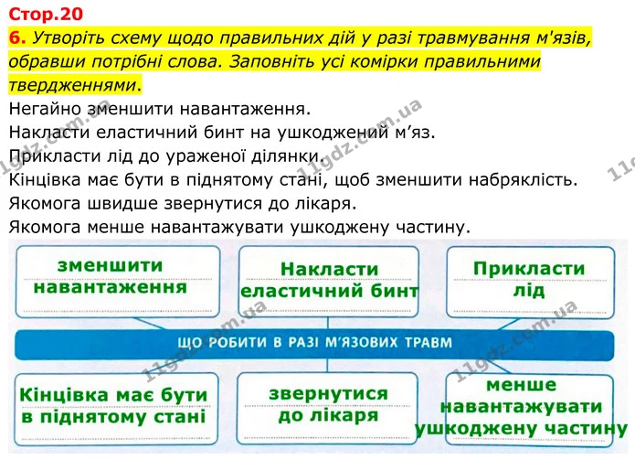 1. Запишіть визначення терміна «постава», склавши його із запропонованих слів. — частина 6 — ГДЗ Робочий зошит Біологія 8 клас Тагліна (2025)
