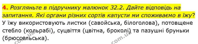 4. Розгляньте в підручнику малюнок 32.2. Дайте відповідь на запитання. Які органи різних сортів капусти ми споживаємо в їжу? — ГДЗ робочий зошит Біологія 7 клас Кулініч