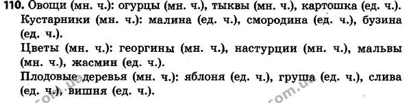 110 — ГДЗ Русский язык 4 класс Сильнова, Каневская 2015